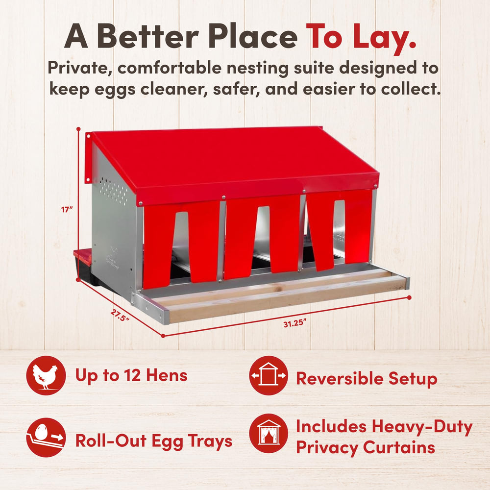 RentACoop close-up of roll-out egg tray keeping eggs protected and simplifying collection