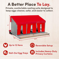 RentACoop close-up of roll-out egg tray keeping eggs protected and simplifying collection