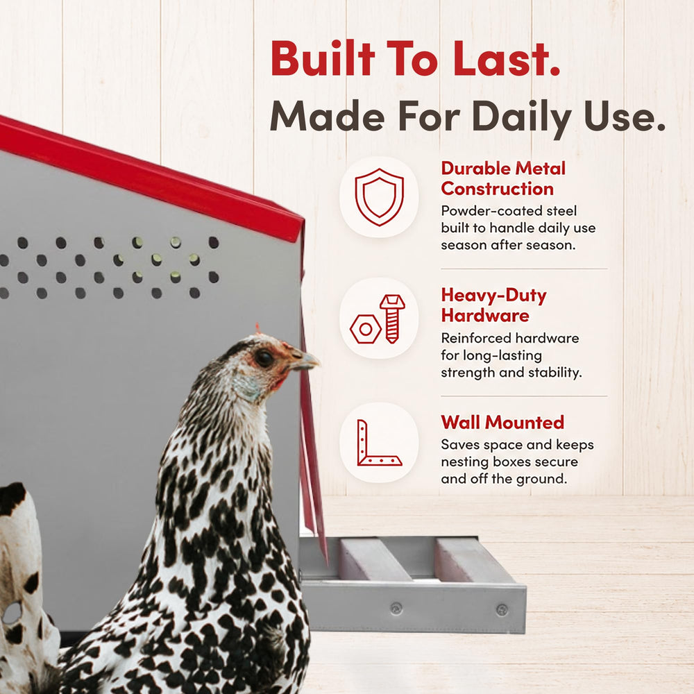 RentACoop side-mounted setup with outside-access tray reducing coop entry for egg retrieval