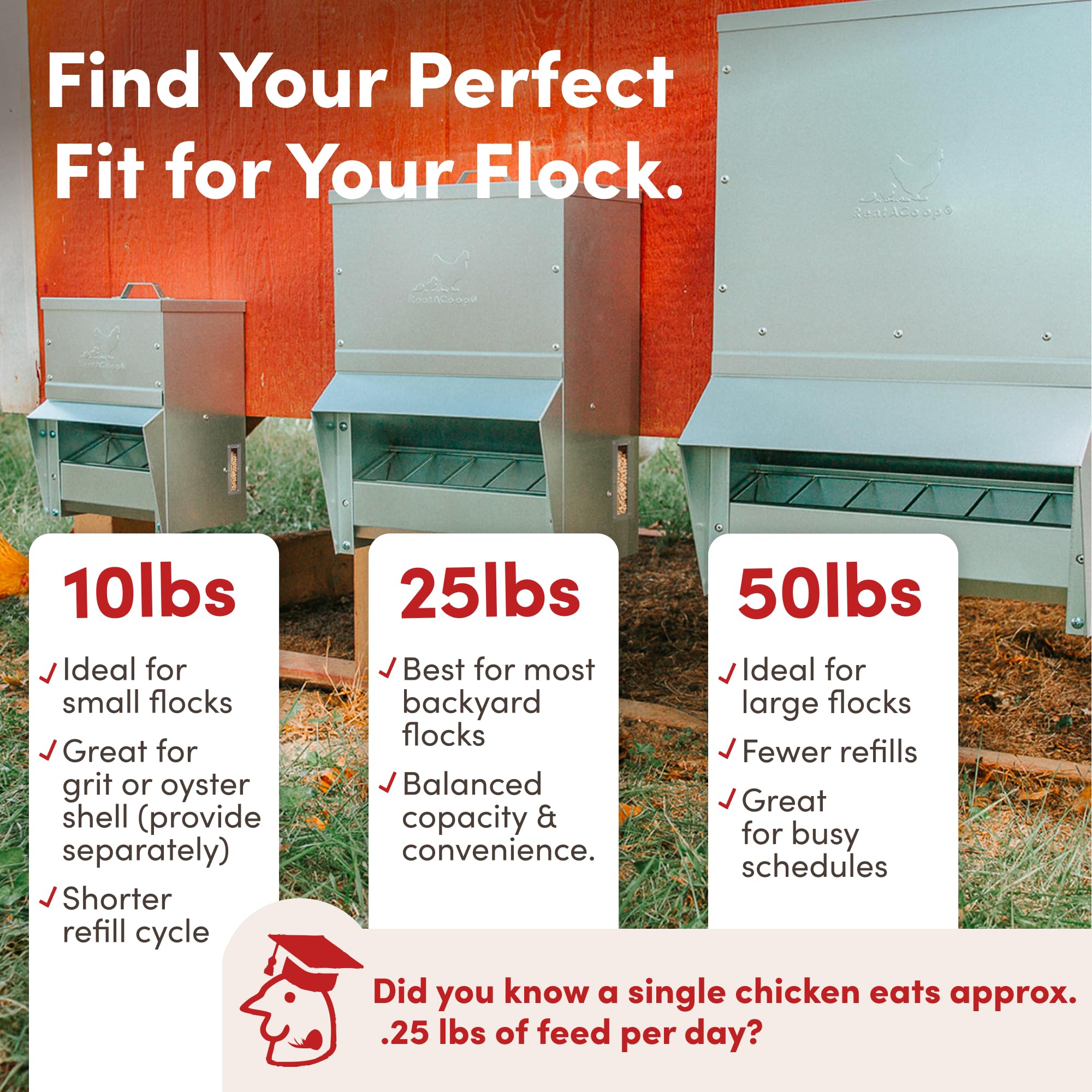 RentACoop side window showing visible feed level for easy monitoring