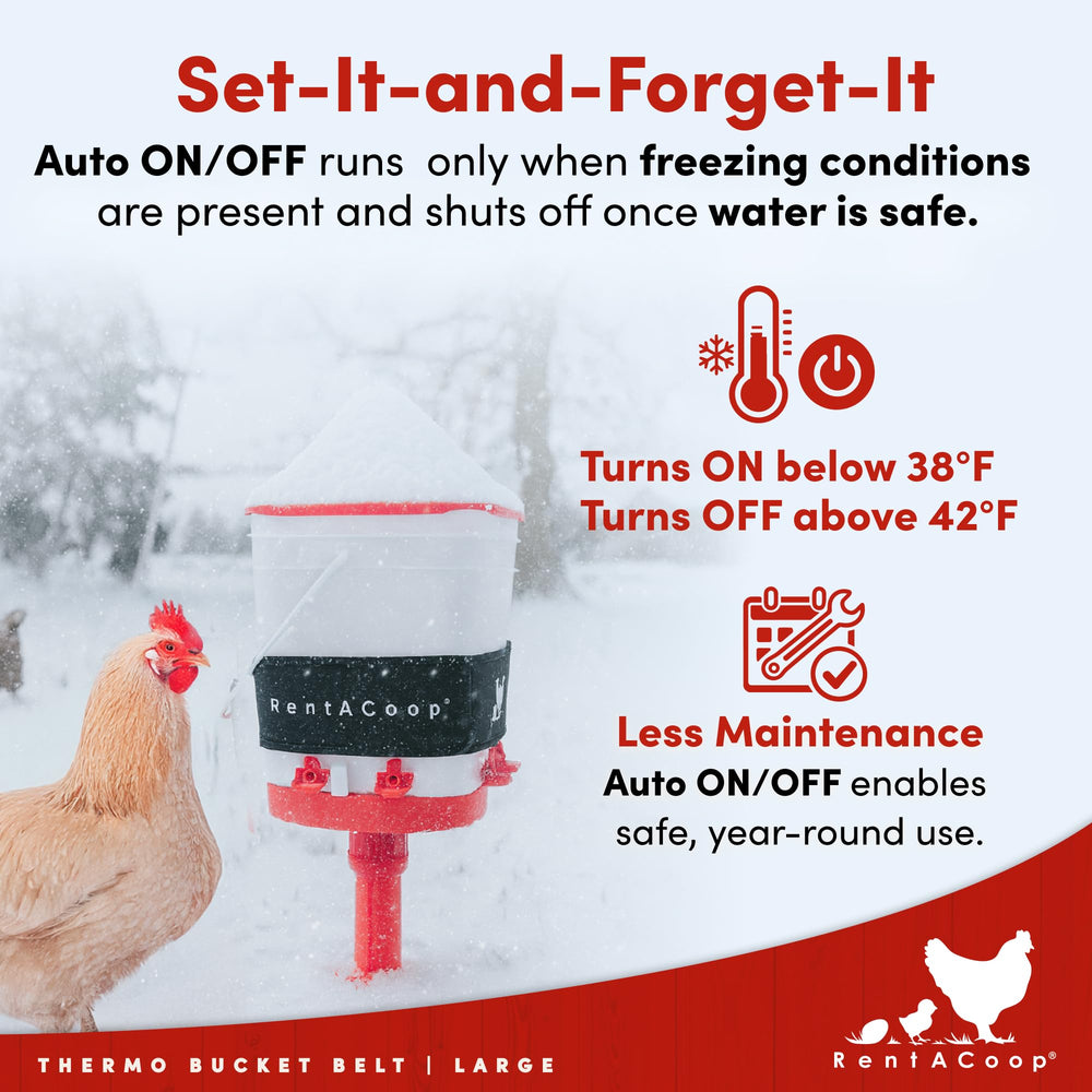 RentACoop size comparison next to ruler to show fit for 2–5 gallon buckets