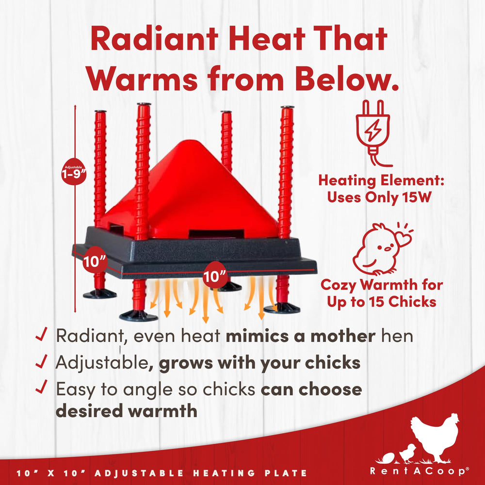 RentACoop underside heat zone view showing radiant center at hen-like warmth