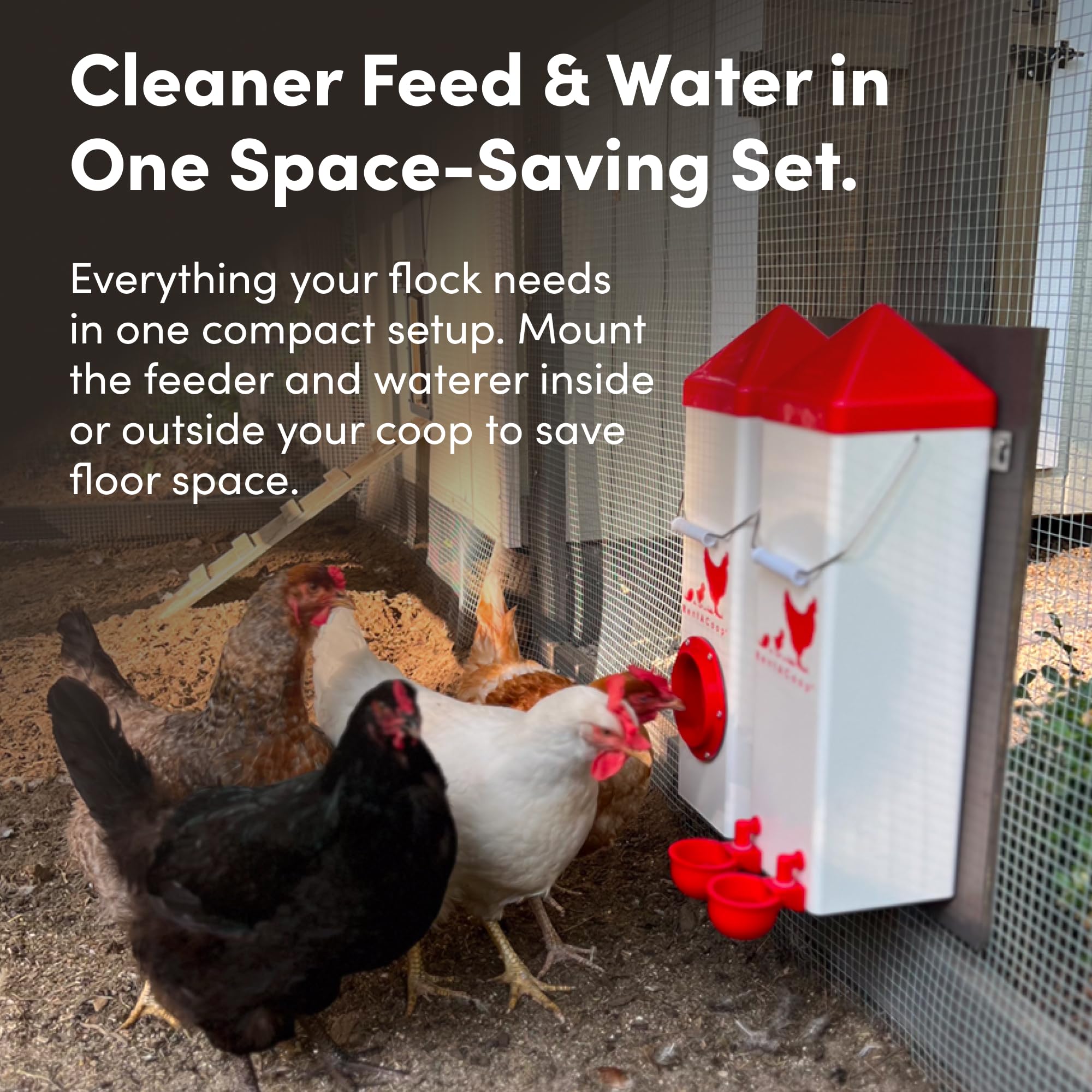 RentACoop waterer auto-fill cup detail for easy, visible hydration