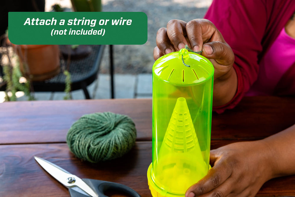 RESCUE! trap beside hand showing compact size and easy installation benefits