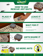 RESCUE! bait station placed on a kitchen counter, demonstrates discreet indoor use