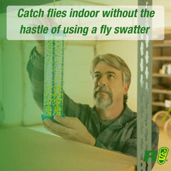RESCUE! hanging in kitchen demonstrating discreet indoor fly reduction