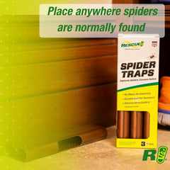 RESCUE! trap placed along baseboard to intercept roaming spiders
