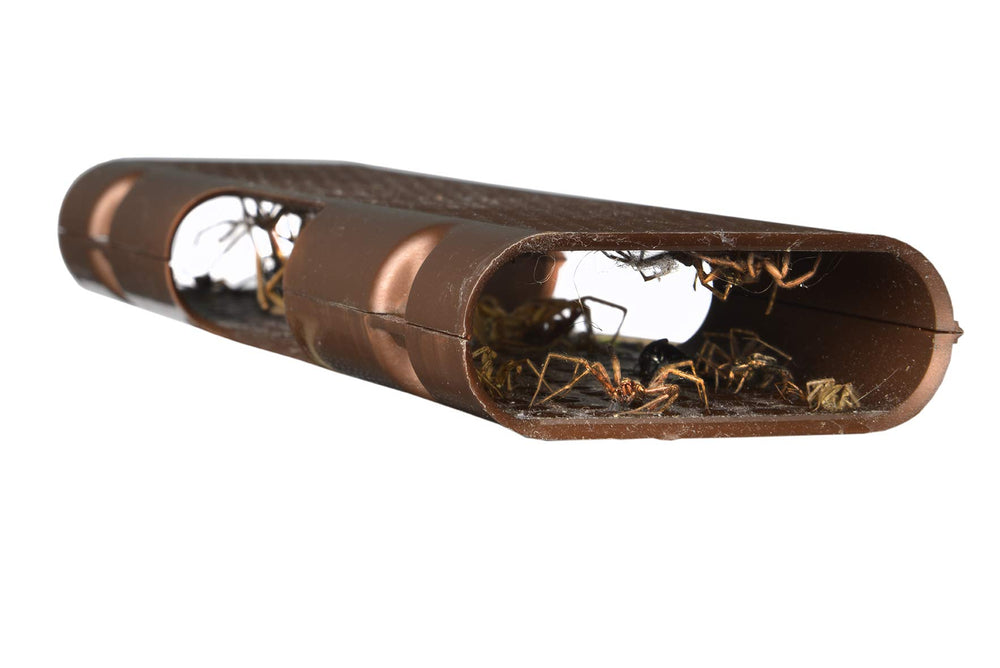 RESCUE! trap flipped to show second adhesive side for extended use