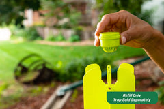 RESCUE! trap collection bag filled with beetles demonstrating effective capture