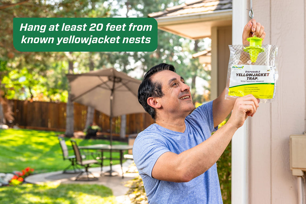 RESCUE! traps staged near backyard grill reducing yellowjacket encounters