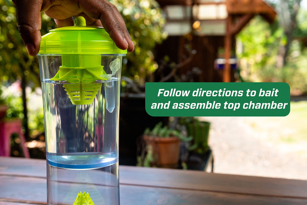 RESCUE! WHY Trap clear panel filled with trapped insects for monitoring