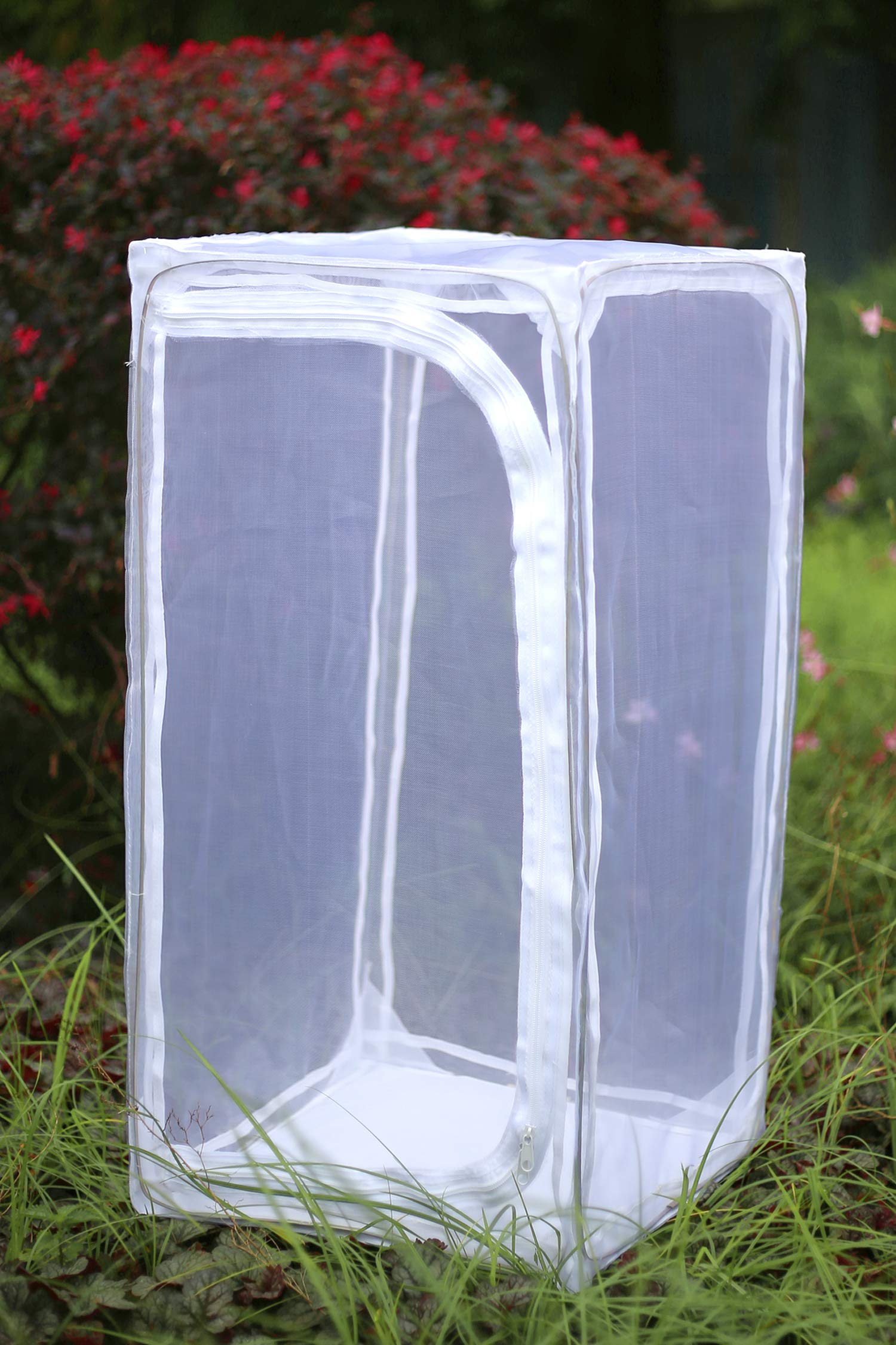 RESTCLOUD side door unzipped for easy feeding and gentle butterfly release