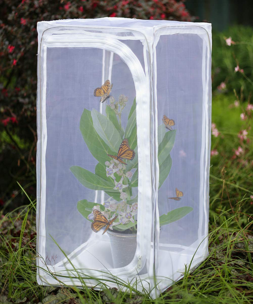 RESTCLOUD front view open habitat showing roomy safe space for butterflies