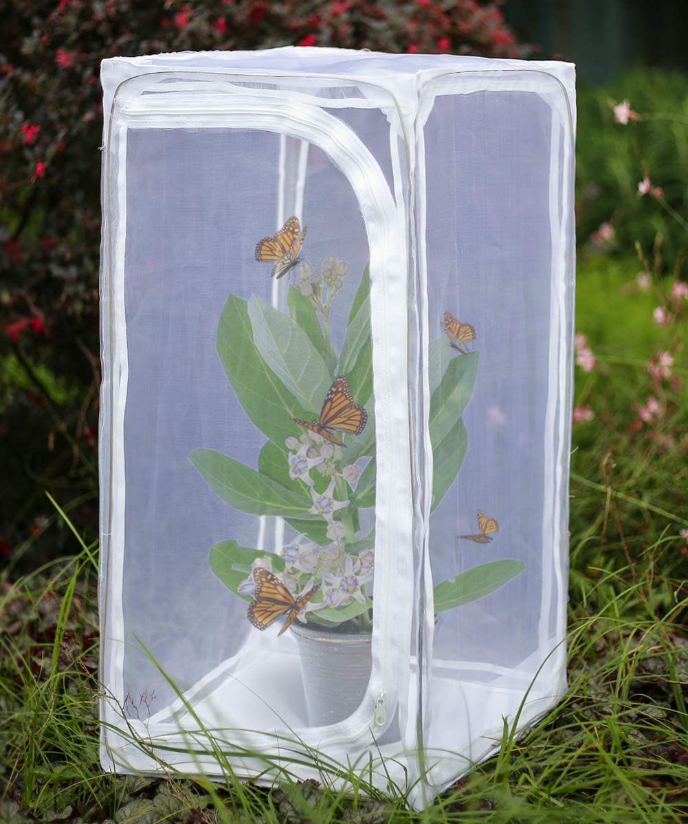 RESTCLOUD front view open habitat showing roomy safe space for butterflies