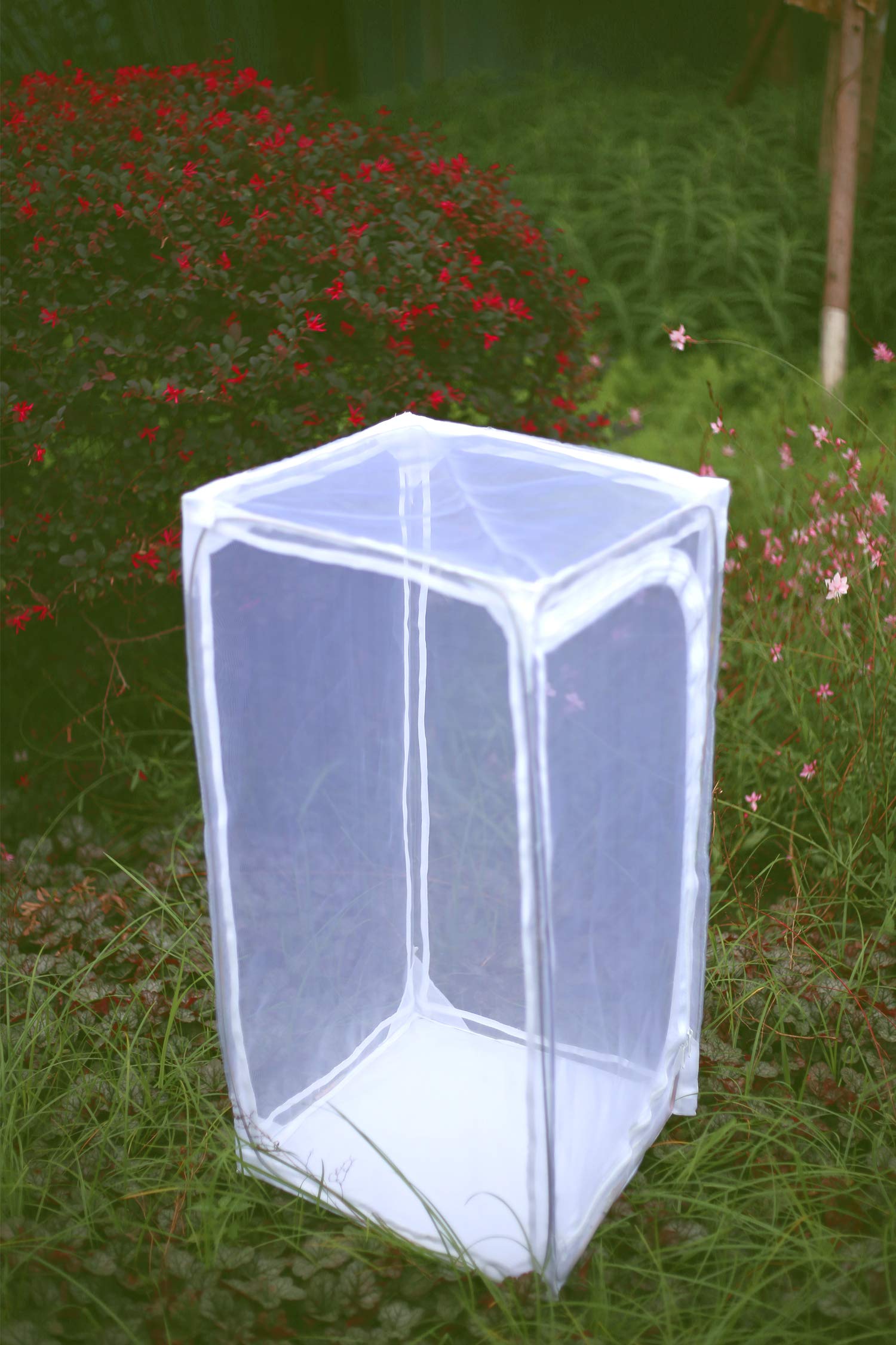 RESTCLOUD hand beside habitat showing scale and generous vertical height