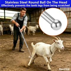 ReuVibk rounded ball detail protecting sheep legs and reducing skin damage