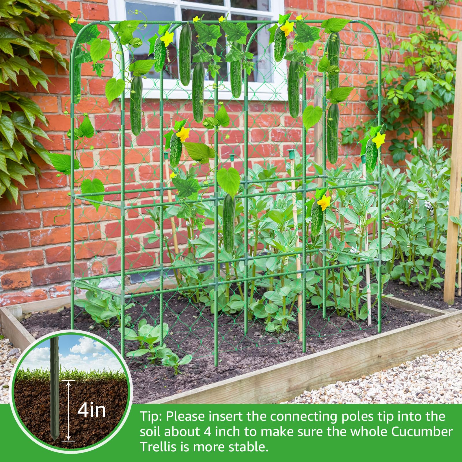 REVICOAR trellis with cucumbers hanging illustrating easier harvesting and airflow