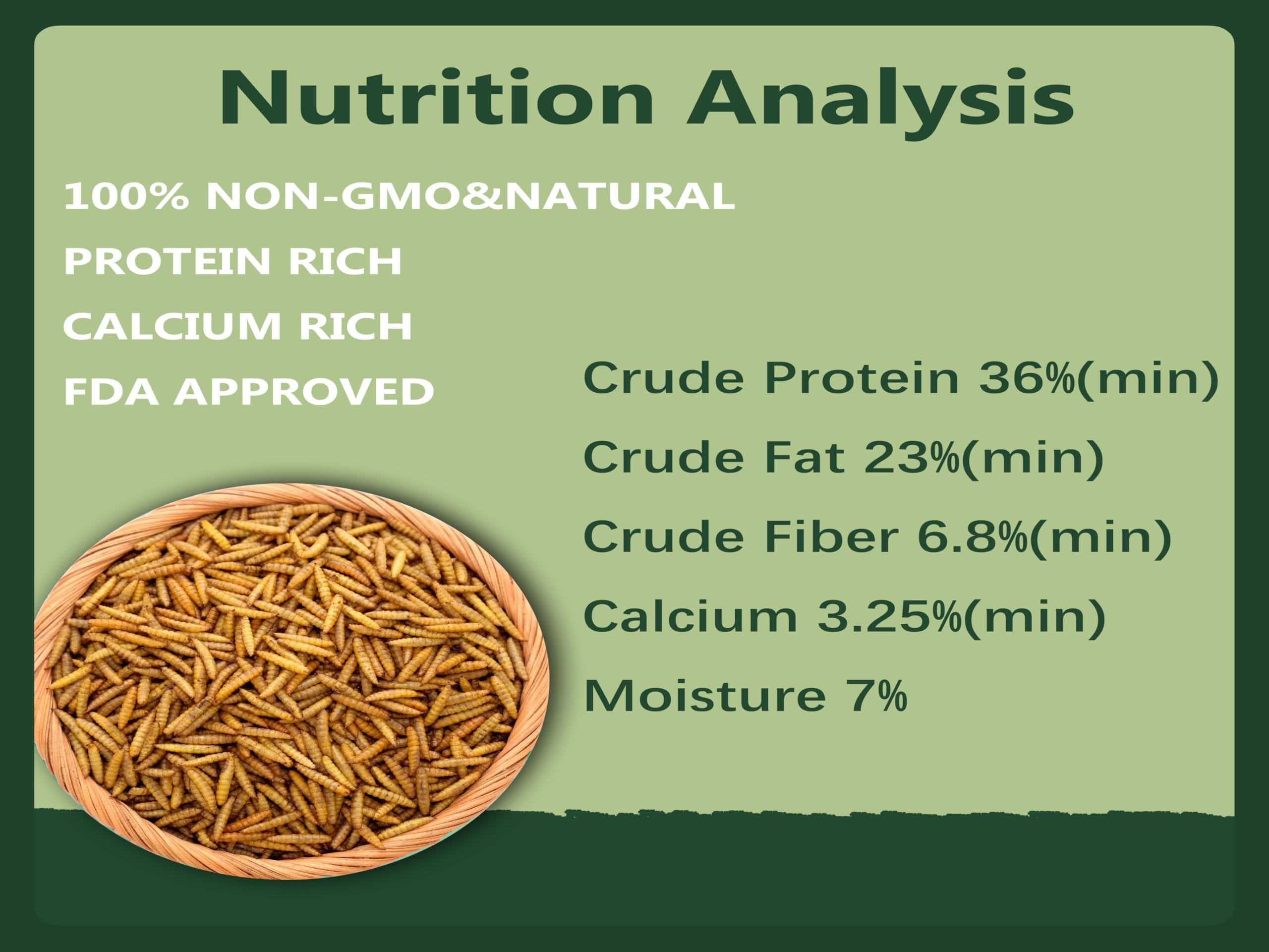 Rexilon close-up of dried larvae texture showing nutrient-rich protein pieces