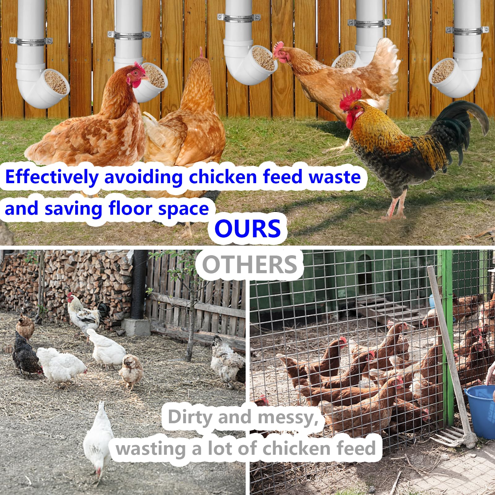Rexwnadu mounted in chicken coop demonstrating tidy feeding area and reduced littering benefit
