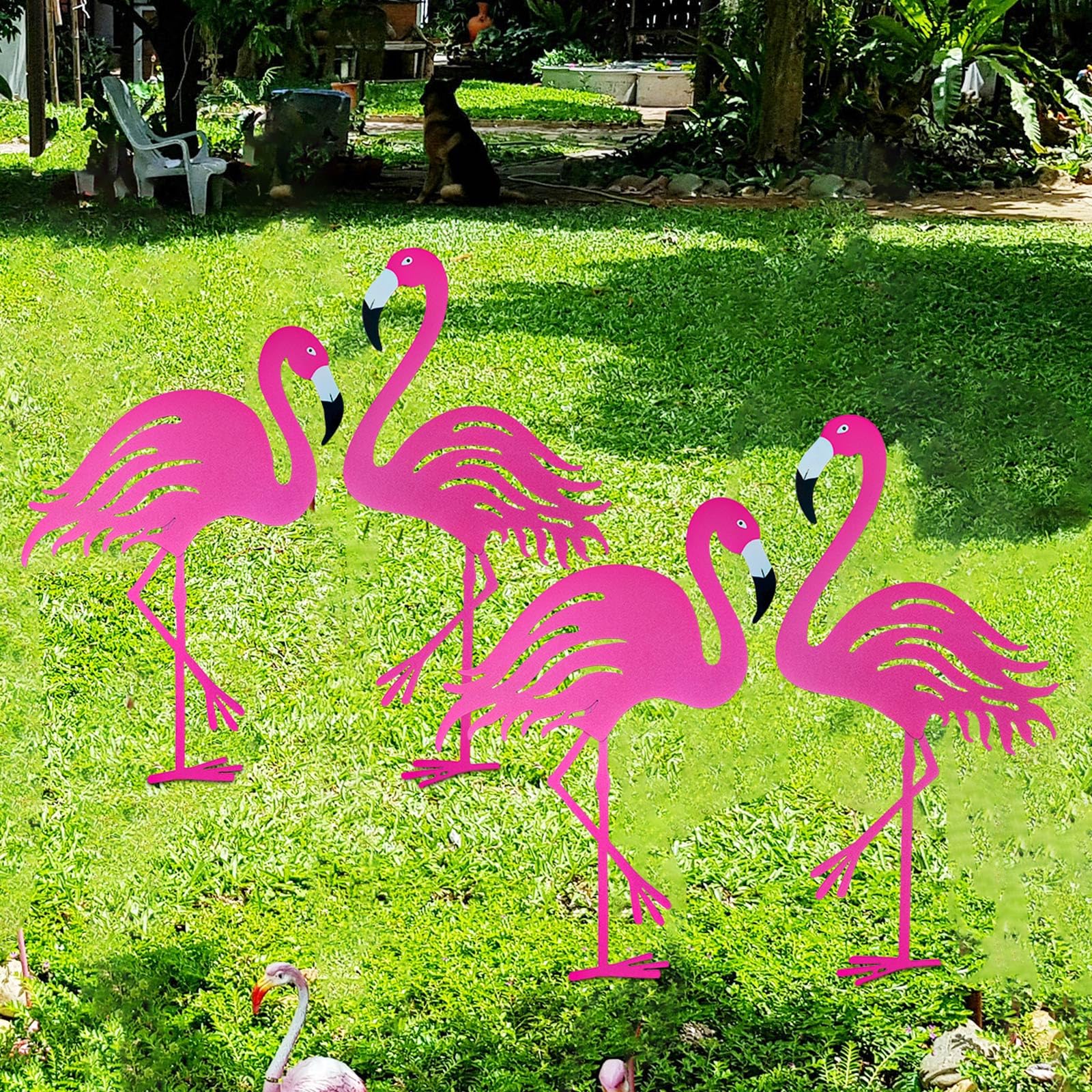 Riakrum front group of four flamingos brightening lawn