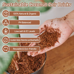 Riare close-up of coco fibers and peat detail, improved aeration benefit