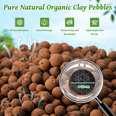 Riare clay pebble close-up showing porous texture that holds moisture and aids aeration
