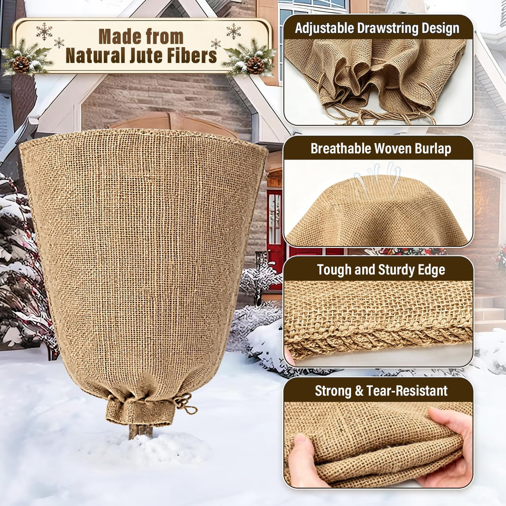 Riare burlap cover on potted rose bush showing frost protection benefit
