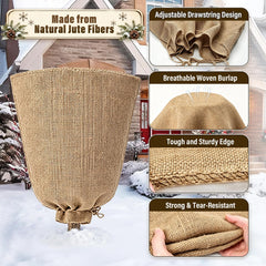 Riare burlap cover on potted rose bush showing frost protection benefit