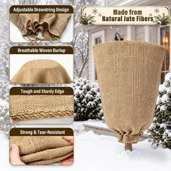 Riare burlap cover protecting a garden shrub from wind and frost