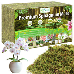 Riare front packaging brick showing compact compressed moss — space-saving storage