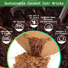 Riare brick hydrating in basin demonstrating fast expansion and convenience