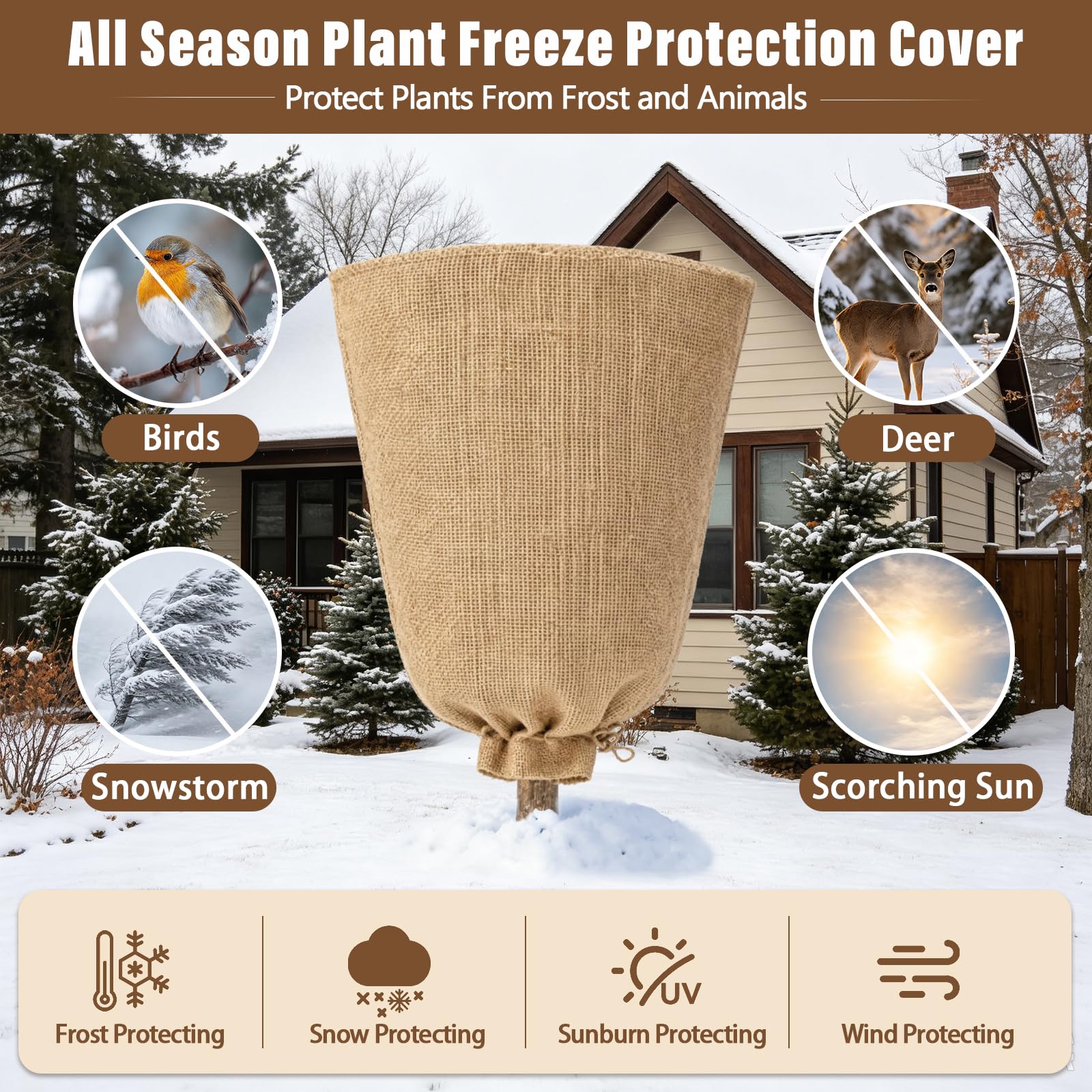 Riare cover in use on potted shrub showing cold protection benefit