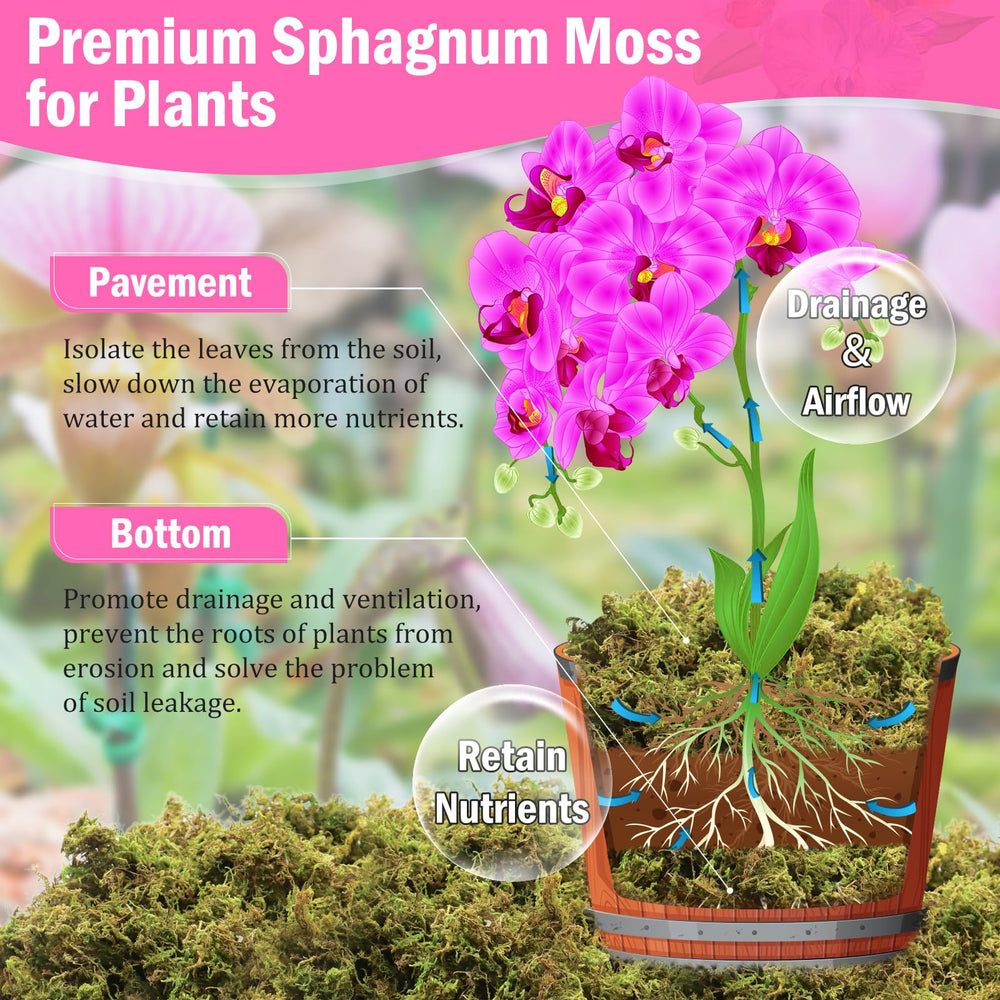 Riare moss soaking in bowl and expanding — quick easy prep