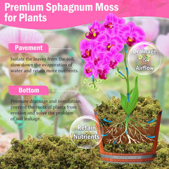 Riare moss soaking in bowl and expanding — quick easy prep