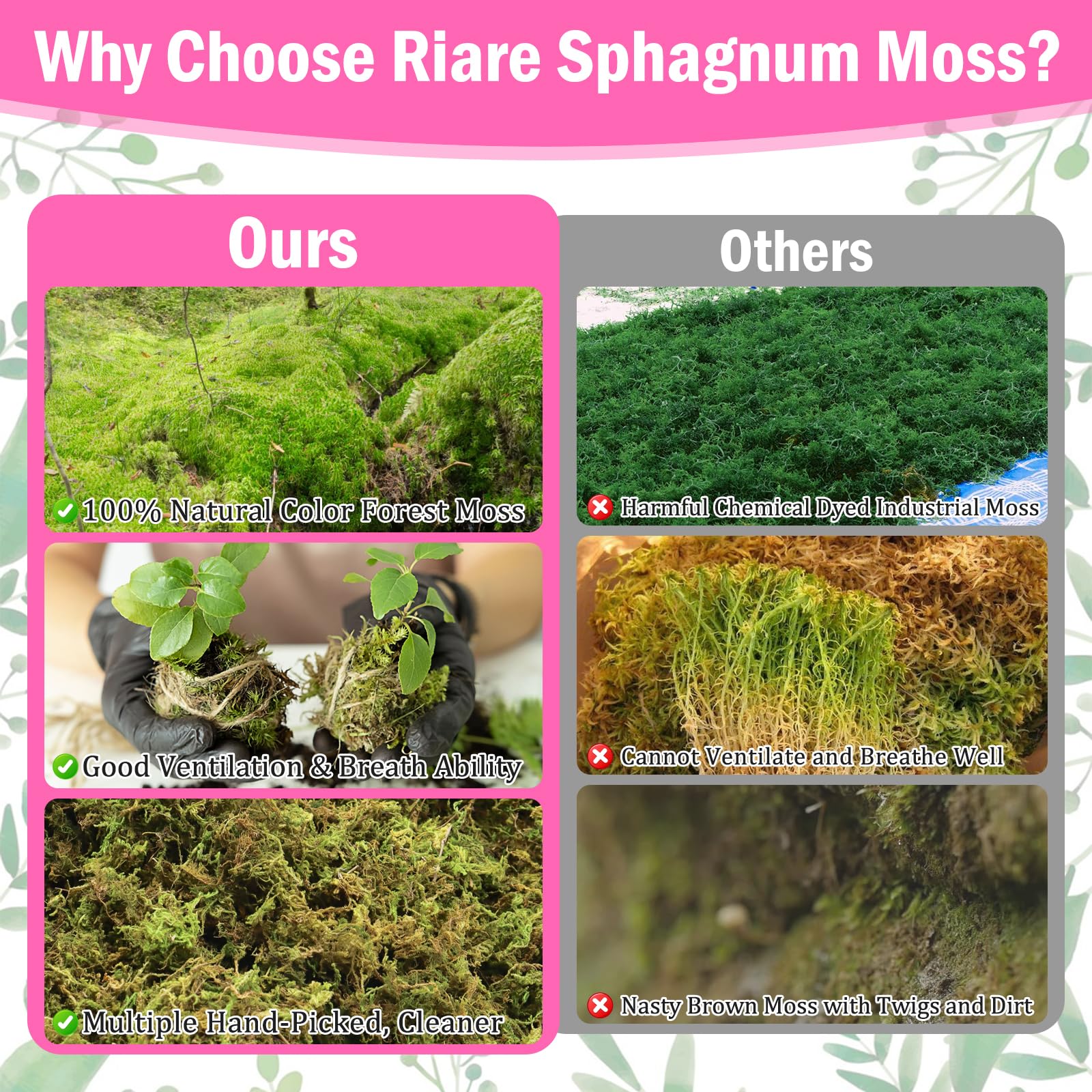 Riare moss used as hanging basket liner — retains humidity for plants