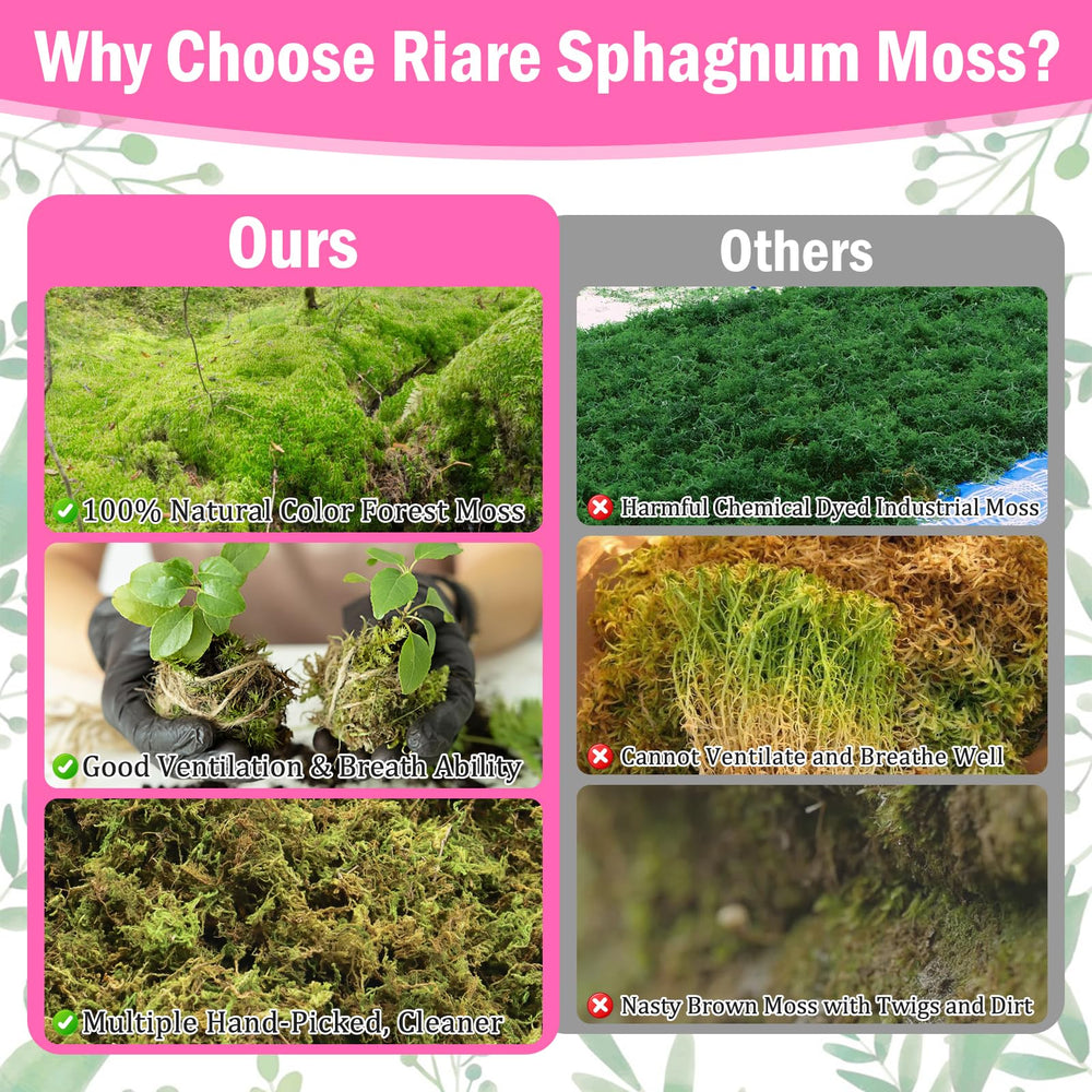 Riare moss used as hanging basket liner — retains humidity for plants
