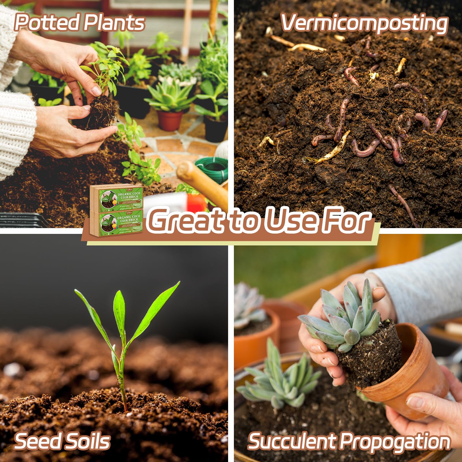 Riare seedling tray using coir promoting consistent moisture for germination