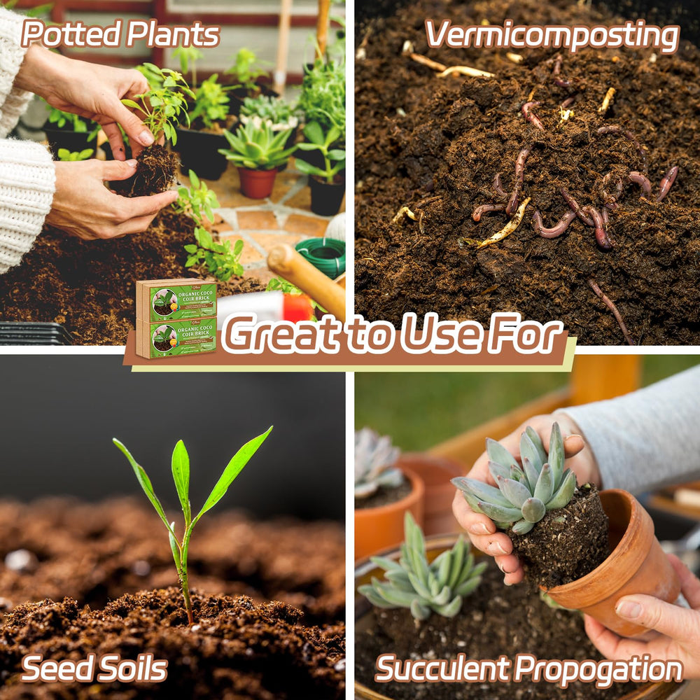 Riare seedling tray using coir promoting consistent moisture for germination