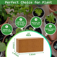 Riare expanded brick texture with fluffy peat for improved water retention