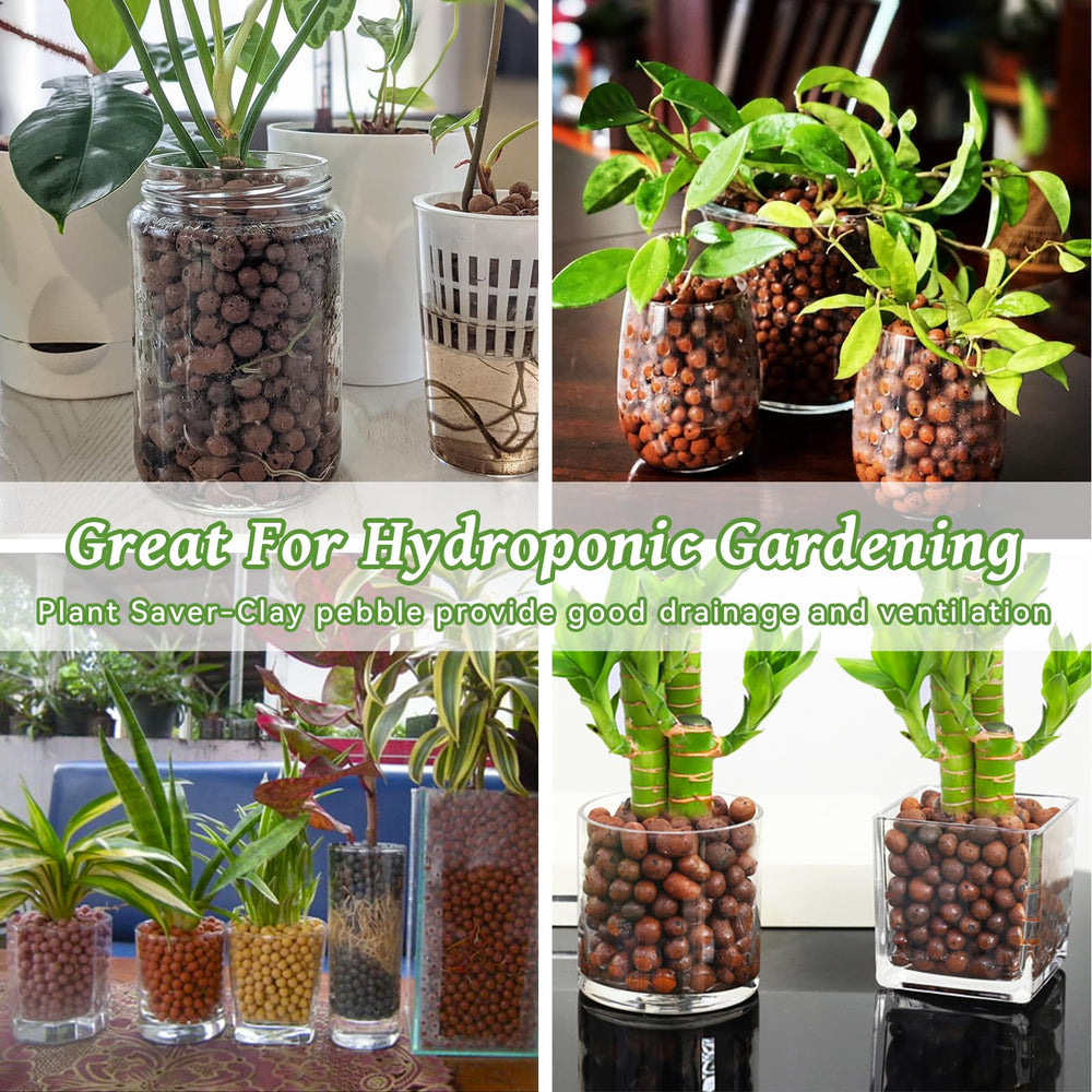 Riare decorative top dressing on potted plant enhancing appearance and reducing evaporation