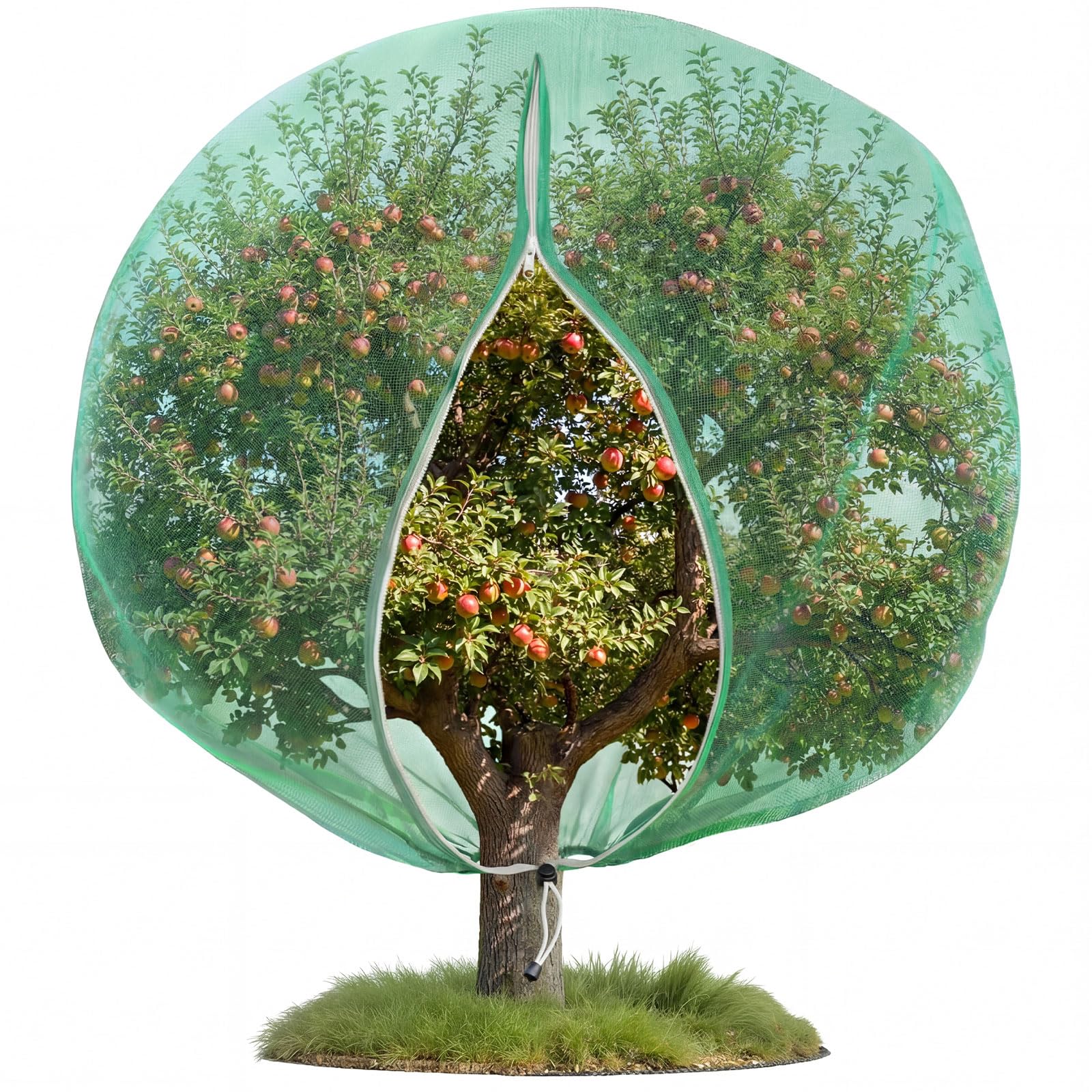 Ribbonlic front view of 20x20 ft green fruit tree netting showing complete protection benefit