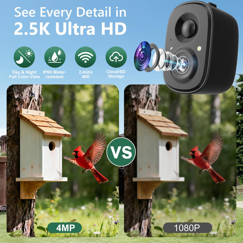 richbird camera pointed at feeder capturing bird visits benefit