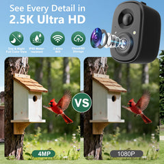 richbird camera pointed at feeder capturing bird visits benefit
