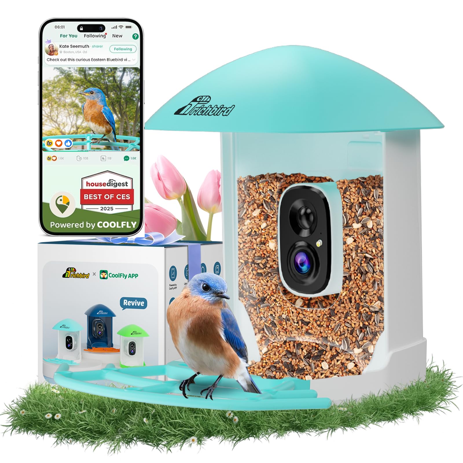 RichBird feeder front view showing design and bird access, invites backyard observation