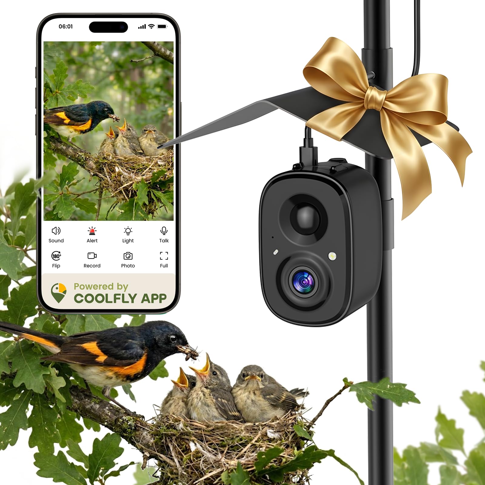 richbird front camera on pole showing clear mounting and view benefit