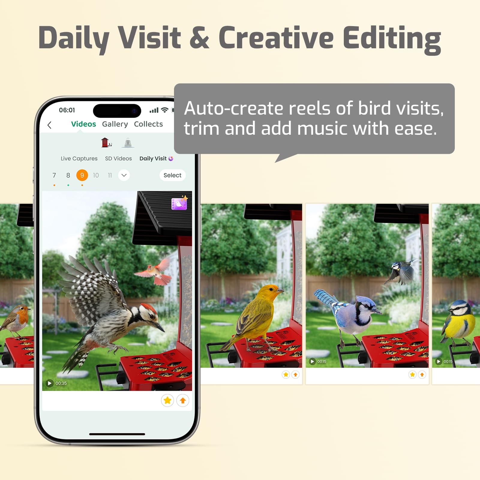 RichBird in use with sparrows showing clear footage for identification