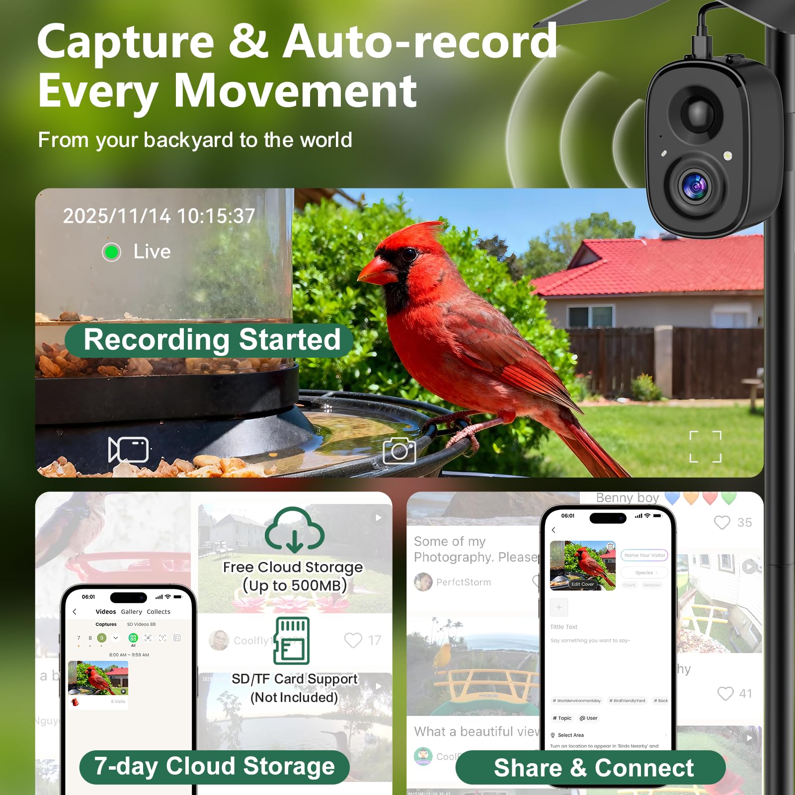 richbird night vision photo in color showing nighttime clarity benefit