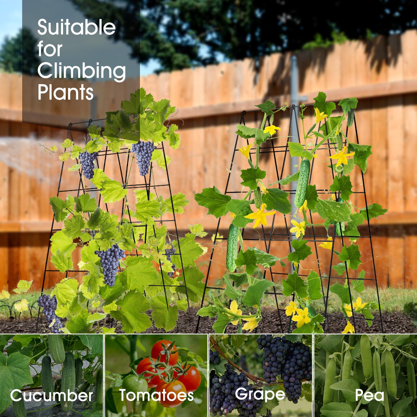 RIFNY trellis in backyard setting showing space-saving vertical gardening benefits