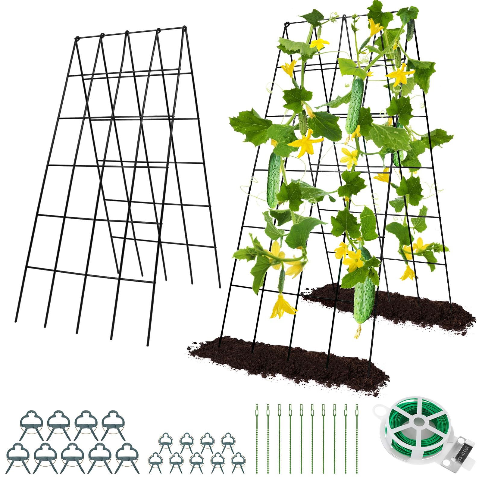 RIFNY front view arched trellis showing sturdy frame and easy vertical support