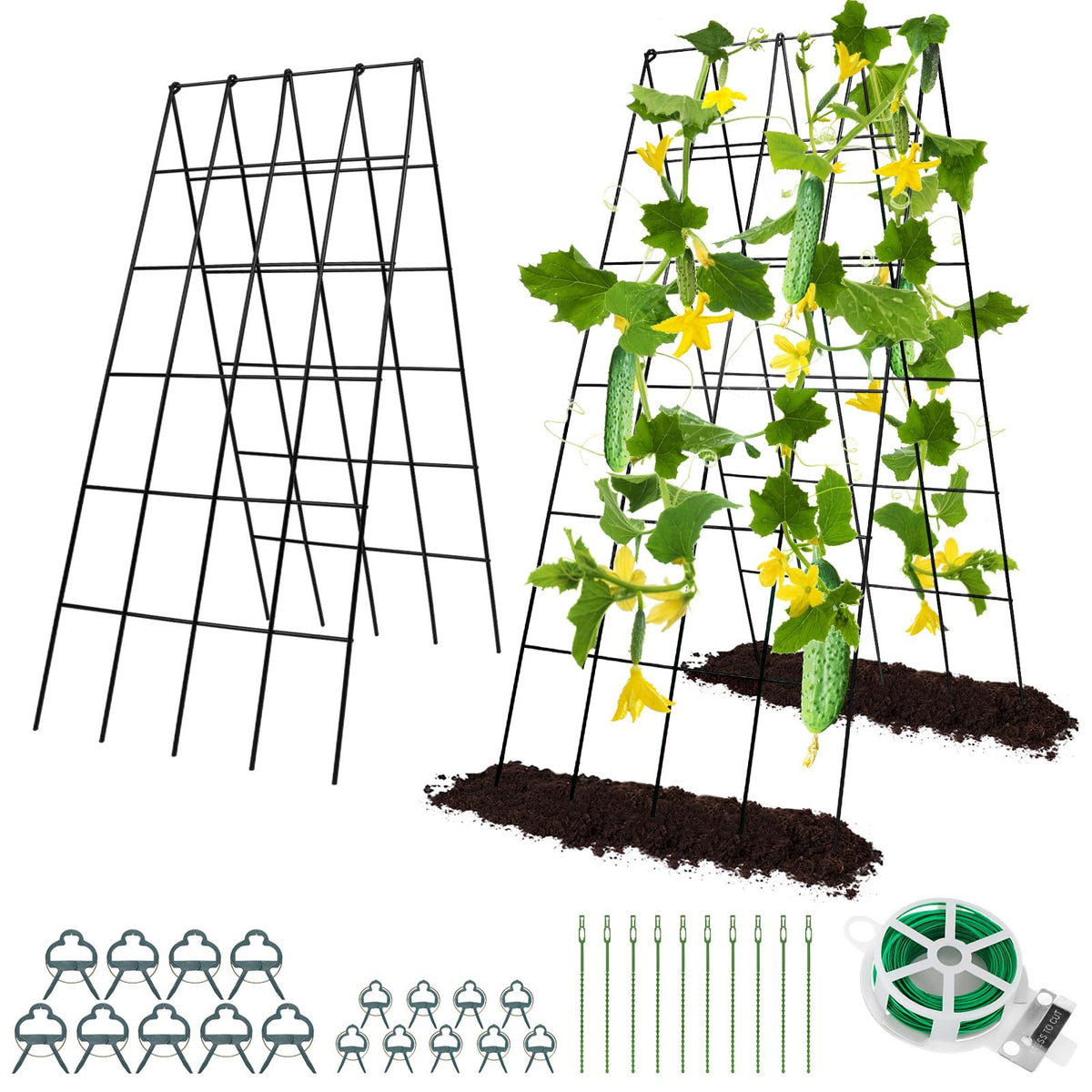 RIFNY front view arched trellis showing sturdy frame and easy vertical support